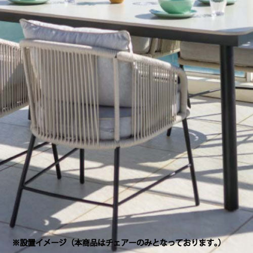 【関東地域限定販売商品】レヴール アームチェアー（シートバット1枚・背面クッション1個付）［F-860］