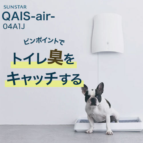 qais air 04a1j購入して1ヶ月程度使用しました